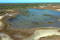 Carpentaria Coastal Wetland