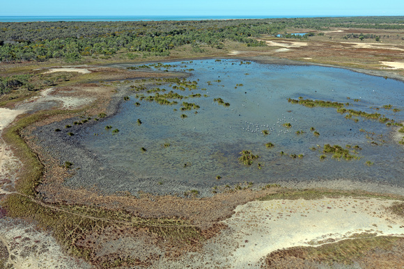 Carpentaria Coastal Wetland