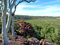Boodjamulla Landscape